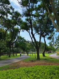 🌳 桃園三民運動公園｜城市裡的綠意呼吸，親子放電與運動愛好者的天堂