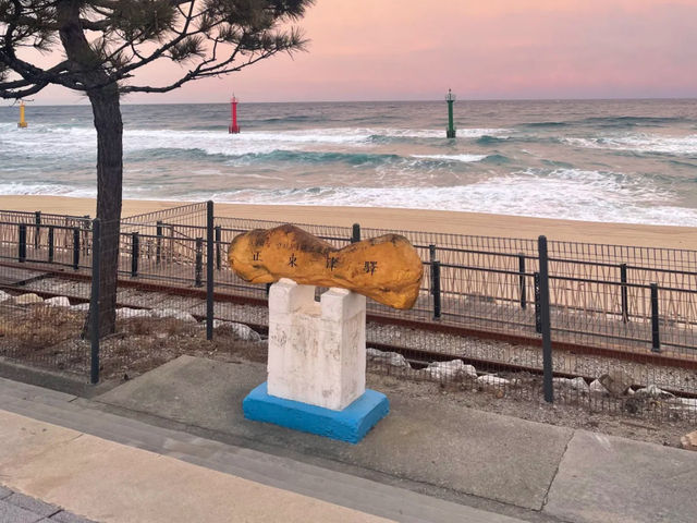 Jeongdongjin: Korea's East Coast Gem 🇰🇷🌊