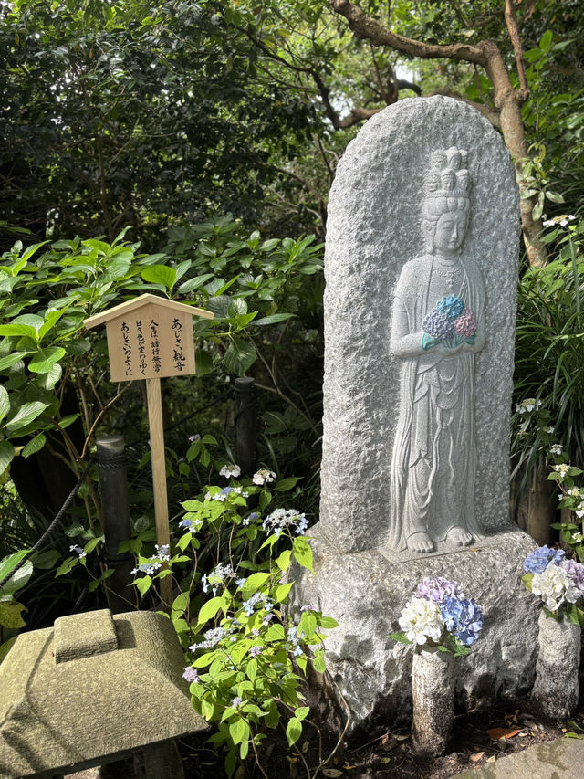 こんな景色が見れるなんて！日本の無人島と長谷寺あじさい