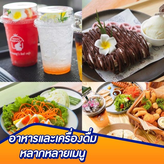 🐇 คาเฟ่บ้านกระต่าย 🛖เหมือนหลุดไปในนิยายย 🪄✨✨
