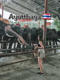 Quick Stop at Ayutthaya – Elephant Encounter 🐘🇹🇭