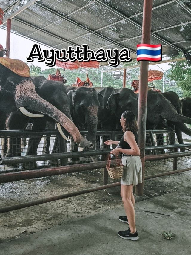 Quick Stop at Ayutthaya – Elephant Encounter 🐘🇹🇭