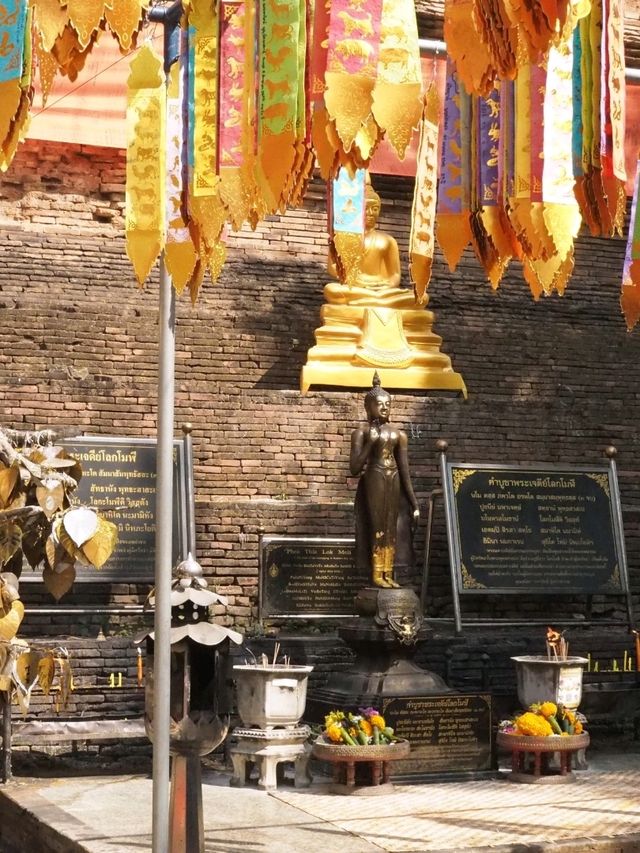 【晴れた日は写真映え間違いなし！】チェンマイのかっこいい寺院🇹🇭