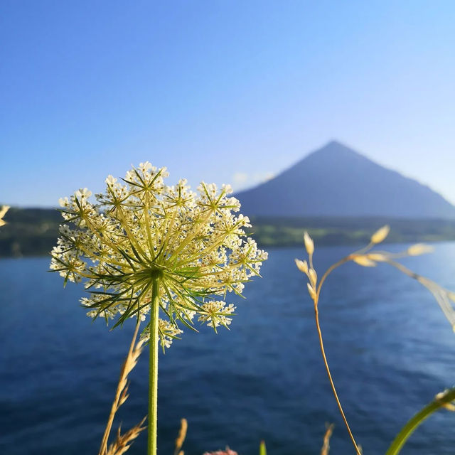 🏰✨ Summer Weekend at Oberhofen Castle: A Fairytale on Lake Thun 