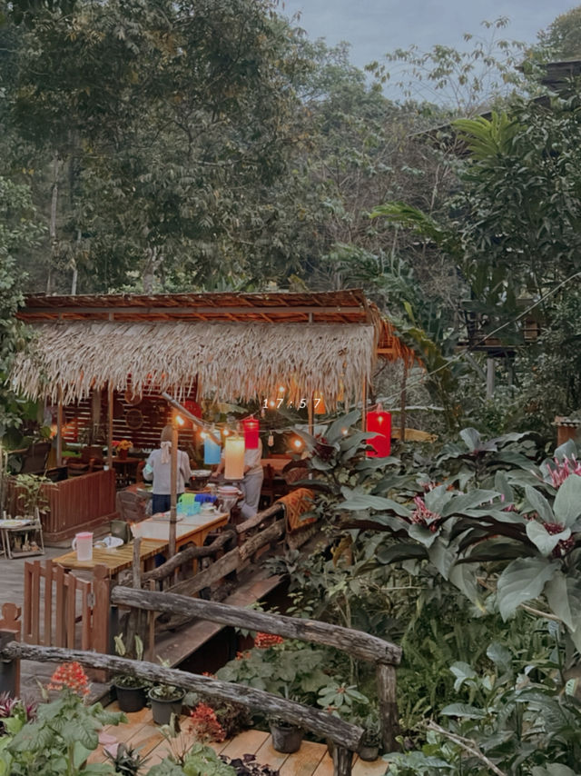 Check in เชียงใหม่ 🫶🏻