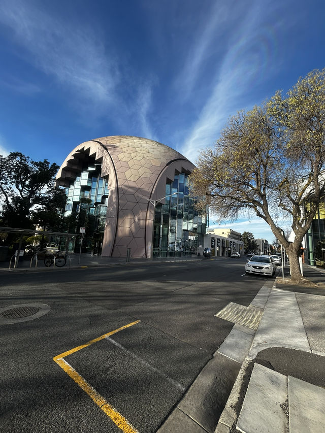 Geelong Geelong