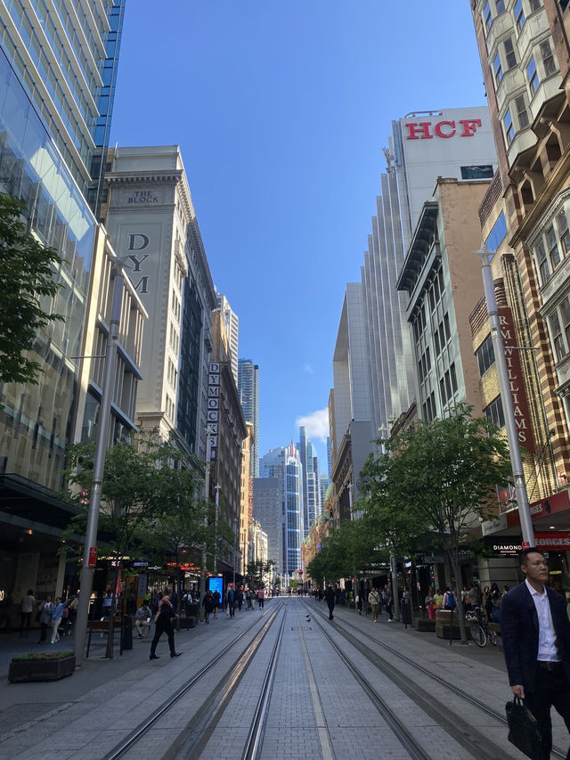 호주 가볼만한 곳 추천 🇦🇺❤️🐨