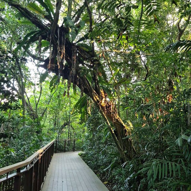 Sungei Buloh Wetland Reserve