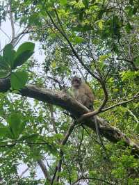 A Hidden Gem on Koh Chang,Trat