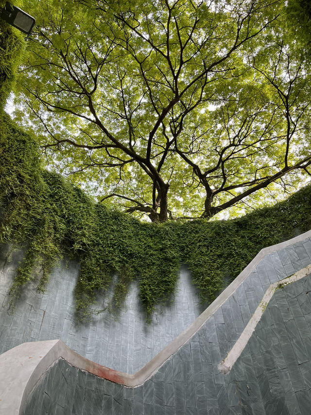 Fort Canning Park สิงคโปร์ 🌿 เดินเล่นชิลๆ ถ่ายรูป