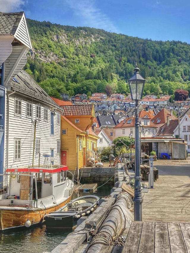 🇳🇴北歐全境包車|挪威深度峽灣8日探索之旅