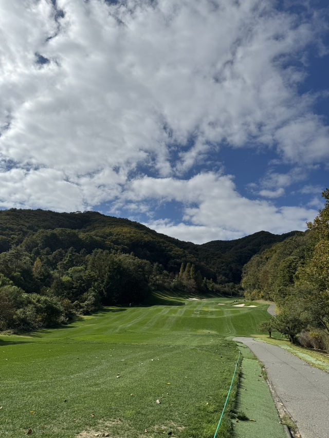 ⛳ 춘천 파가니카CC 라운딩 솔직후기