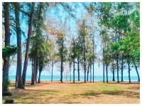 พักกายพักใจ @ อุทยานแห่งชาติหาดวนกร