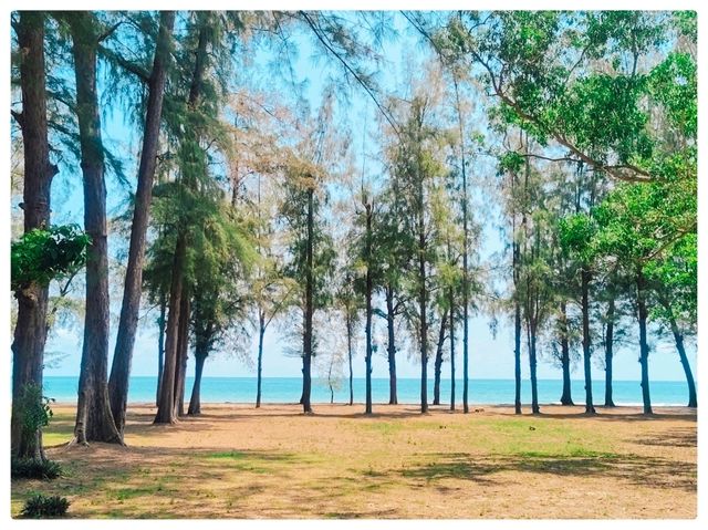 พักกายพักใจ @ อุทยานแห่งชาติหาดวนกร