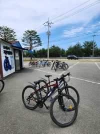 🚴‍♂️강원도 고성여행, 자연 속 자전거 한 바퀴 "송지호 둘레길 자전거대여소"🚴‍♀️