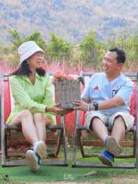 Move to Mountain Garden Cafe