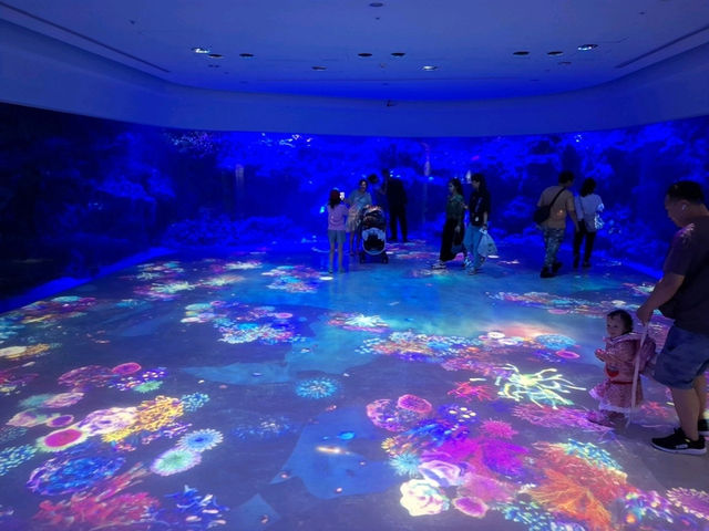 夢幻光影海底世界、南美海獅秀、打卡限定周邊一次滿足！
