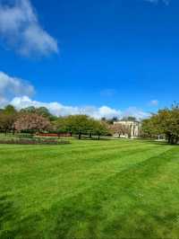 Alexandra Gardens 