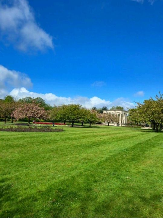 Alexandra Gardens 
