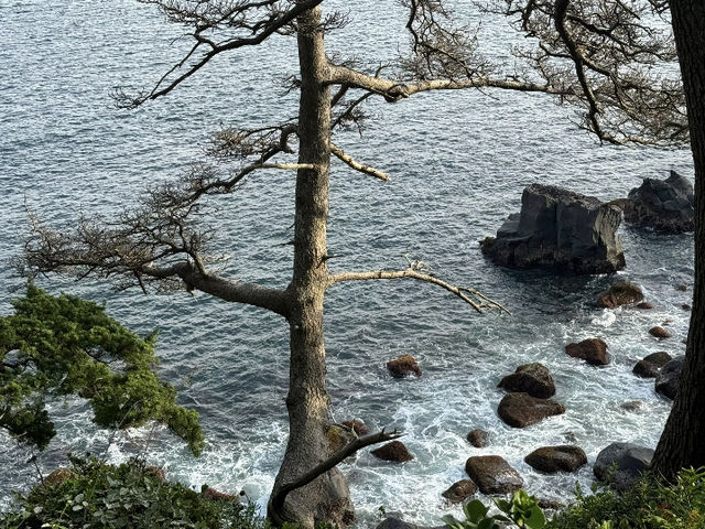 Omuroyama and Jogasaki Coast: A Perfect Day Trip! ☀️⛰️