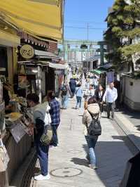 🌊⛩️🐾 Enoshima – Island of Shrines, Cats, and Sea Breeze