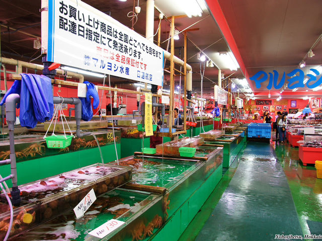 🦀 Crab Heaven at Kani Goten, Shiraoi