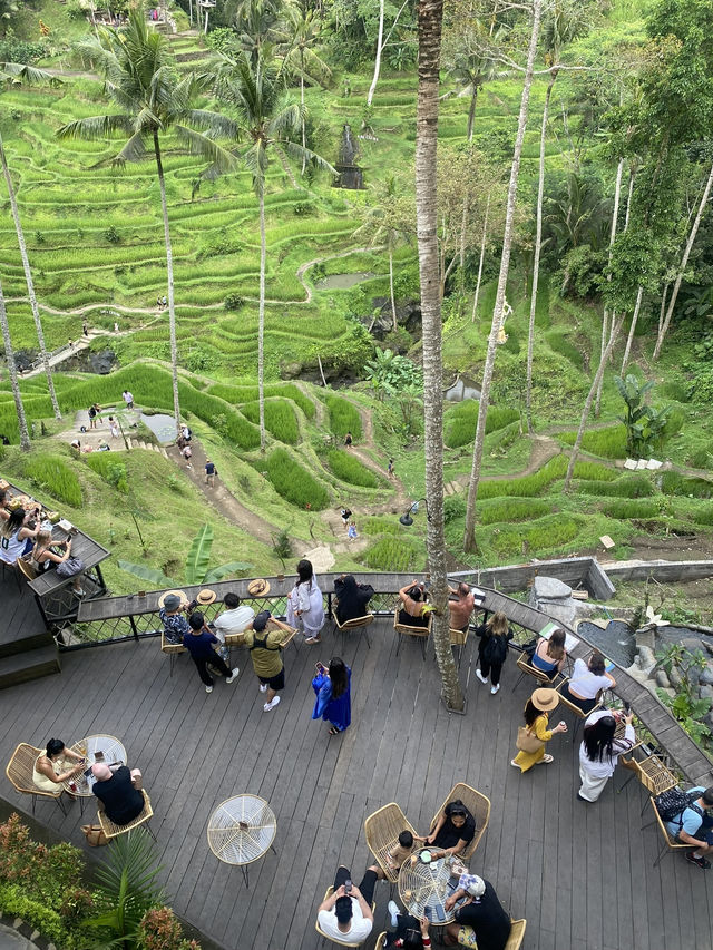 Bali: Where Every Day Feels Like a Postcard