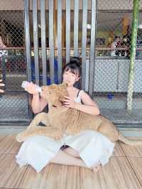 「泰」好拍啦～曼谷必去的動物園