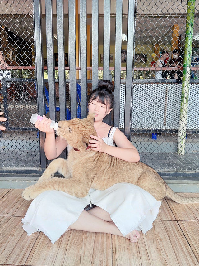 「泰」好拍啦～曼谷必去的動物園