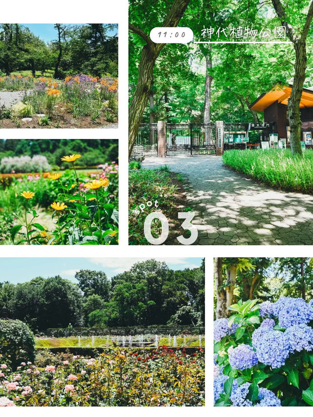 【東京】＼待ち時間ゼロ！？／深大寺1日プラン🌿