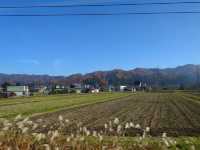 日本東北山形縣賞和牛 米澤車站周邊遊
