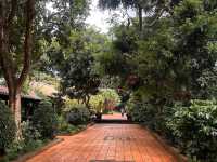 Buon Ma Thuot Coffee Village (Dak Lak)