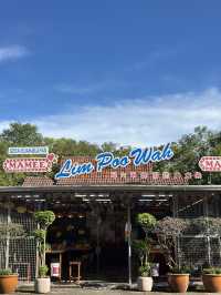 Lim Poo Wah: where fruit cravings become personality traits. 