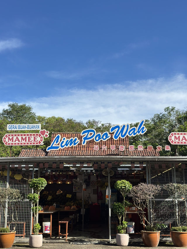 Lim Poo Wah: where fruit cravings become personality traits. 