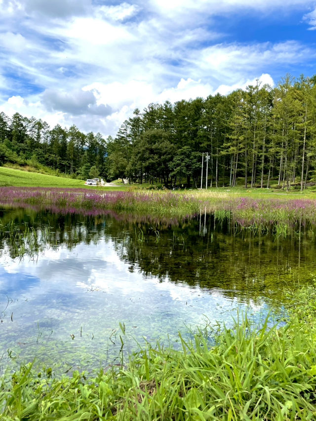 【夏旅×信州2泊3日】  雪解けの頃に現れる幻の池 映り込む景色が絶景