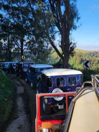 Heartbeat of the Earth - Bromo’s Crater 