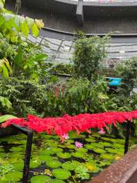 Wings of Wonder: Discover Entopia’s Living Paradise
