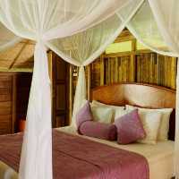 Lantern Dreams and Heritage Grace