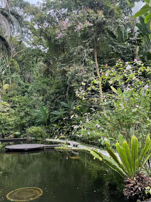 Spice Trails: A Journey Through Penang’s Botanical Wonderland