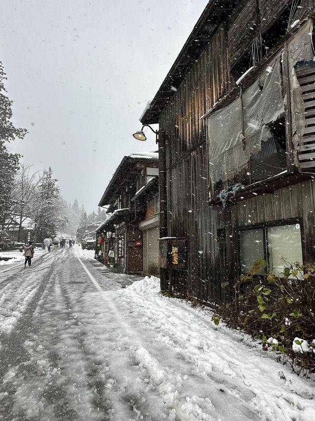Shirakawago ลุ้นหิมะตกต้นธันวา!