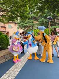 Sail into Adventure: The Magic of Tokyo DisneySea