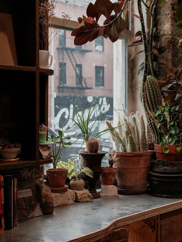 PPL cafe NYC