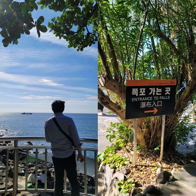 서귀포 폭포 보러 갔다온 일
