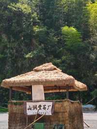 Timeless Tranquility: Exploring Hongcun Village