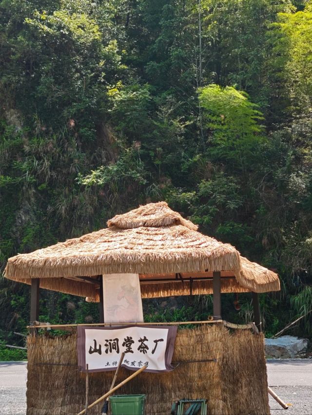 Timeless Tranquility: Exploring Hongcun Village