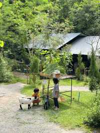 “ในสวนลับ”คาเฟ่ริมลำธารน้ำตก ใกล้เขาเขียว ชลบุรี