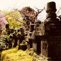 Adashino Nenbutsuji: Kyoto’s Most Hauntingly Beautiful Temple – A Solo Traveler’s Pilgrimage"** 🕯️🌿