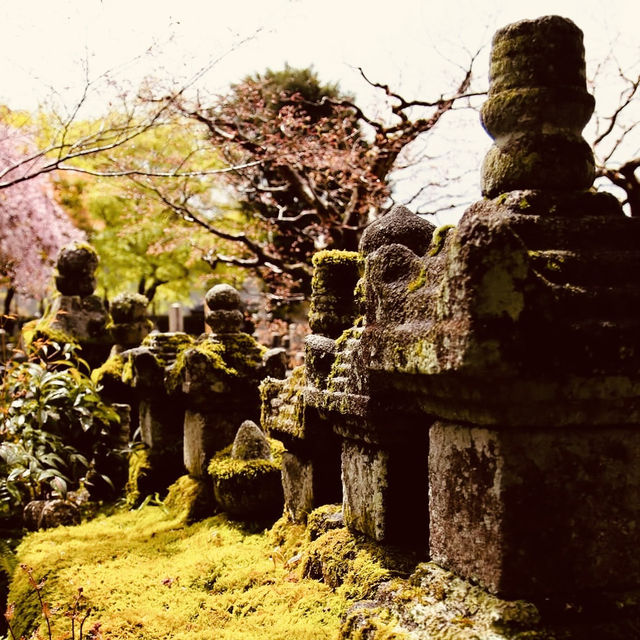 Adashino Nenbutsuji: Kyoto’s Most Hauntingly Beautiful Temple – A Solo Traveler’s Pilgrimage"** 🕯️🌿