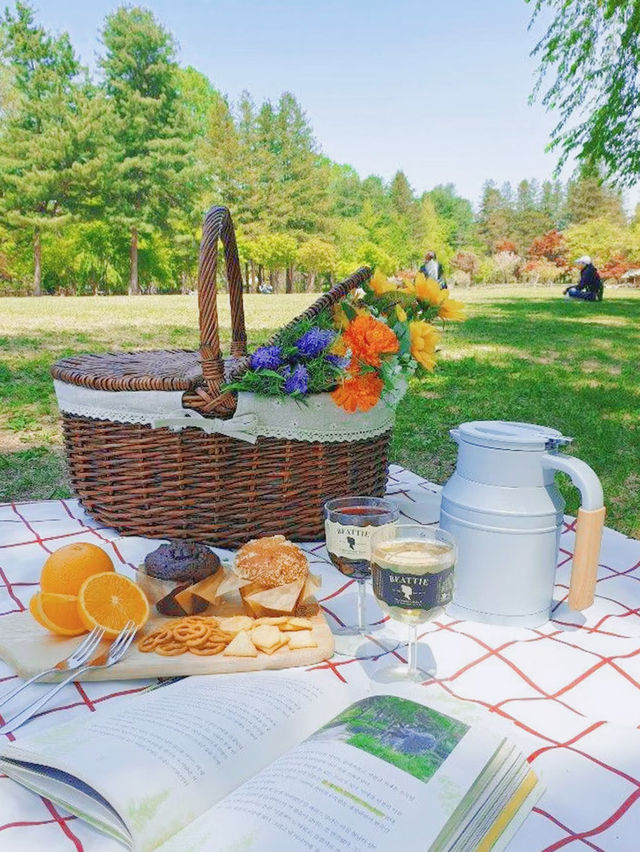 Live Your K-Drama Summer – A Slow Escape to Nami Island 🍃🎬