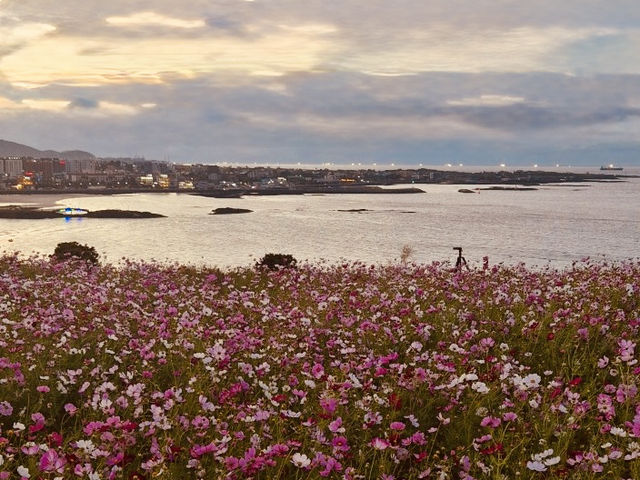 An Invigorating High Point for Reflection and Serenity